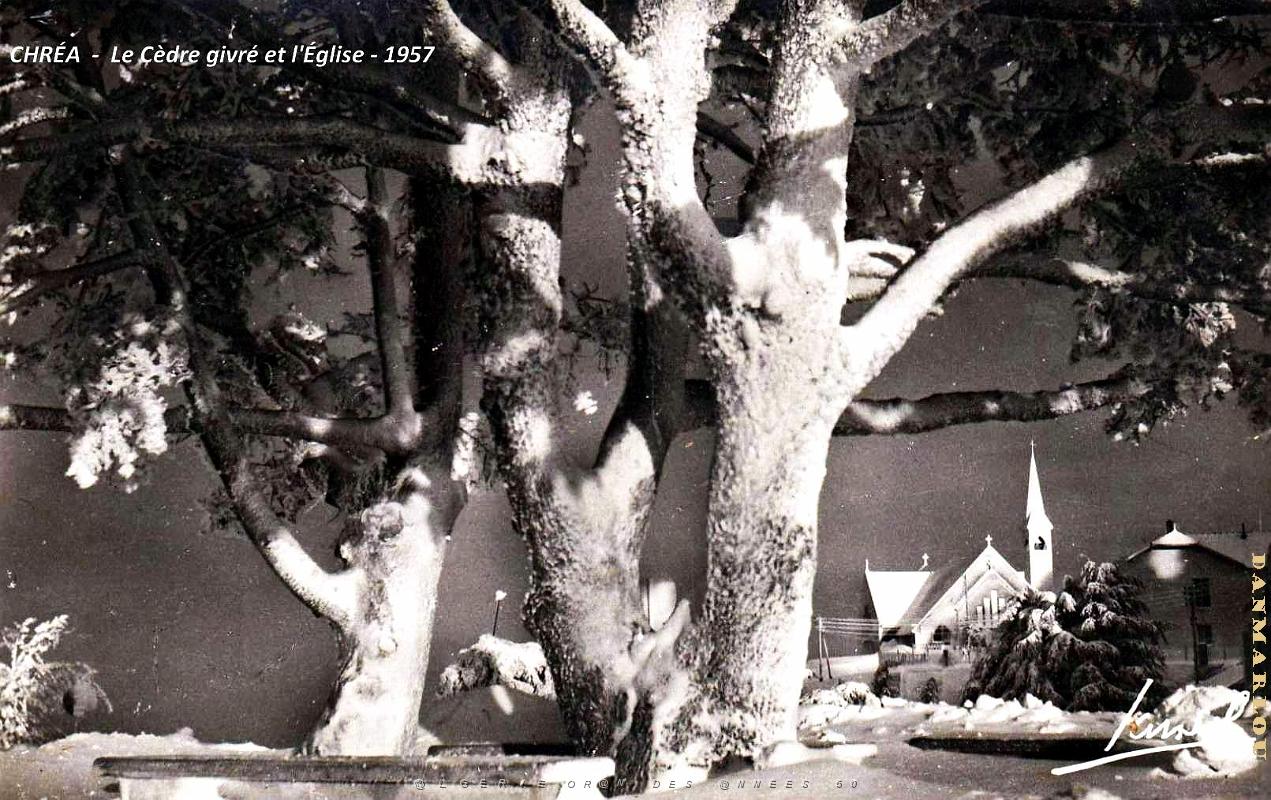 Chrea - Cedre givre et Eglise - 1957.jpg